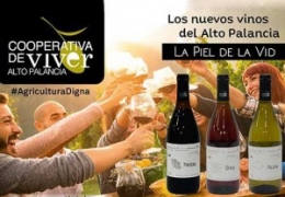 CLUB DE ENÓFILOS
