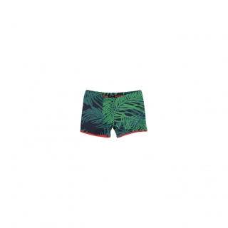 Reversible Lycra Boxer (palms)