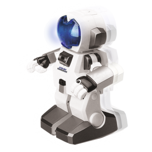 ECHO BOT
