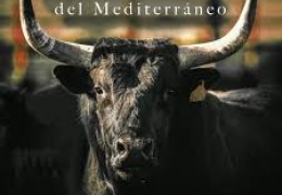 FORO TAURINO - Presentación del libro