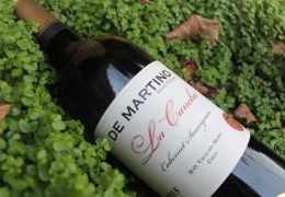 CLUB DE ENÓFILOS | CATA DE VINOS
