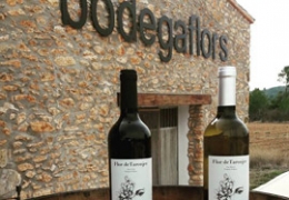 CLUB ENÓFILOS | CATA DE VINOS | BODEGA VICENTE FLORS