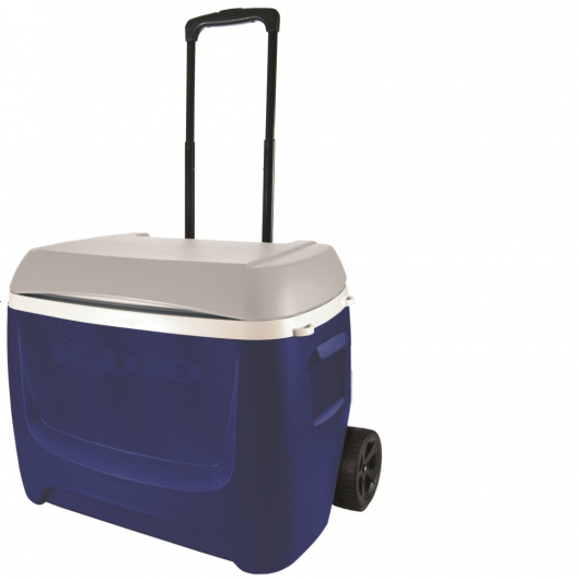 Pinnacle Nevera port/átil 30 litros Roller Ruedas