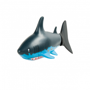 Shark Attack